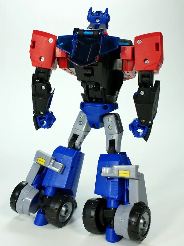 aop1-2.jpg