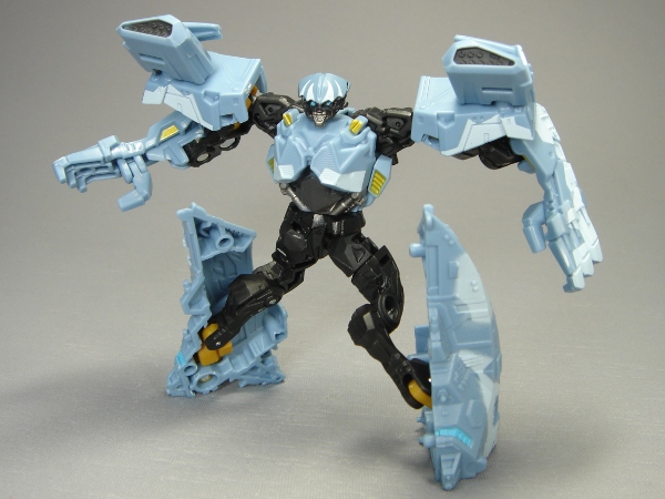 dps1-1.JPG
