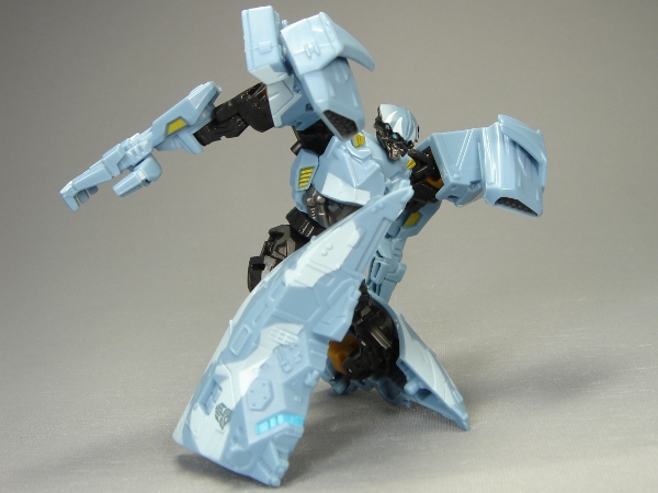 dps1-4.JPG