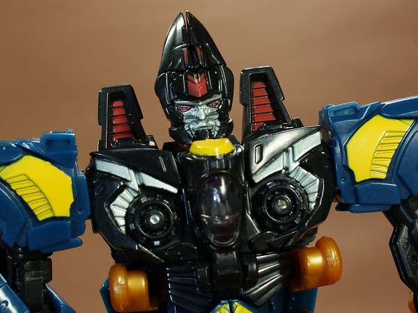 drg1-7.jpg