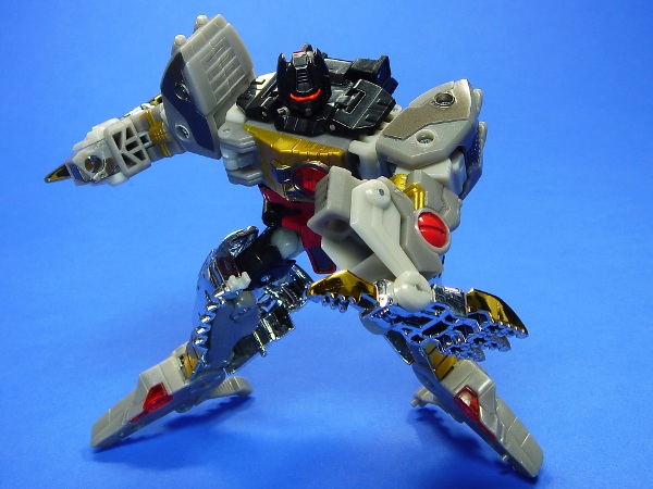 hgr1-9.JPG