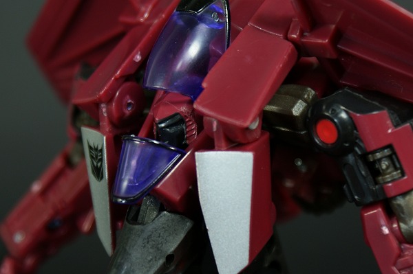 srs1-5.jpg
