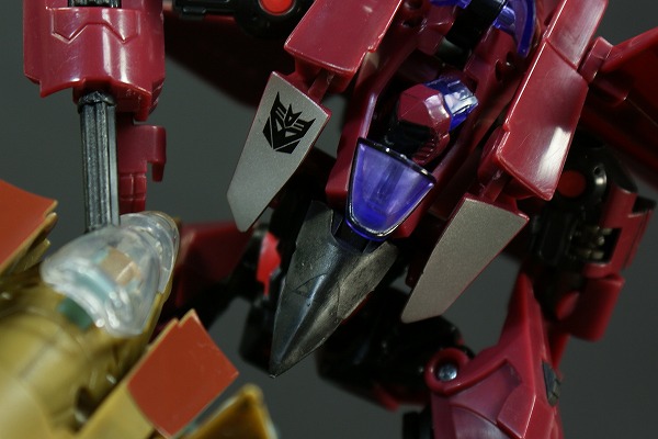 srs9-9.jpg